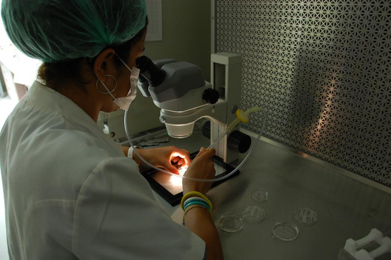 Slider image (6) Jinepol IVF Clinic